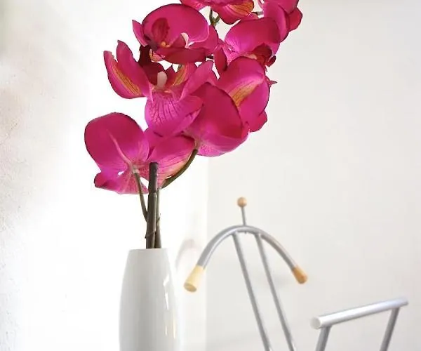 Lieblingsnest ברנקסטל - קיס